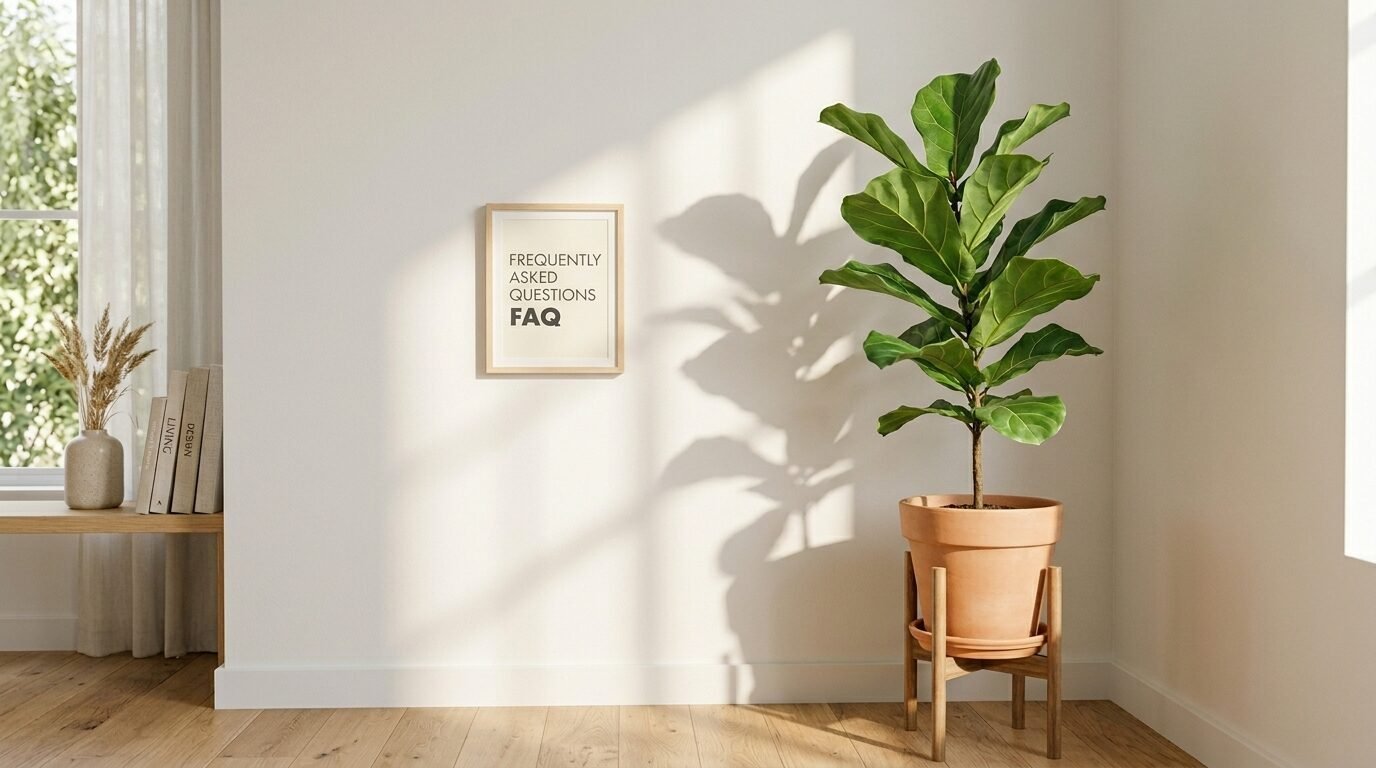 A framed FAQ sign hangs on a white wall next to a potted fiddle leaf fig plant in a wooden stand.